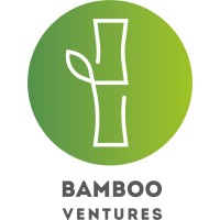 Bamboo Ventures BV logo - Similar company to Bw Ventures