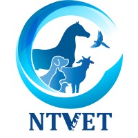 NTVet logo - Similar company to Vkasis Ltd