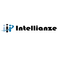Intellianze Inc. logo - Similar company to Nvolve Technologies, Inc.