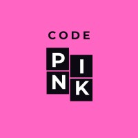 Code Pink Norway logo - Similar company to Code Pink