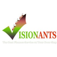 Visionants logo - Similar company to Finaports