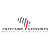 Excelsum Ventures Group logo - Similar company to Gee Consulting Partners