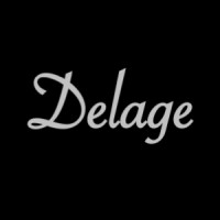 DELAGE - Growth Consulting logo - Similar company to Blueprint Growth Consulting