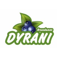 DYRANI logo - Similar company to Medrasa Perú S.A.C.