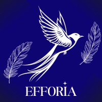 Efforia Model United Nations logo - Similar company to Next Debate