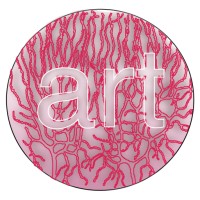 Art of Neuroscience (AON) logo - Similar company to In2Intel