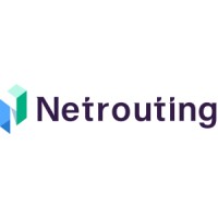 Netrouting logo - Similar company to Data Facilities Data Centers
