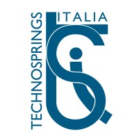 TECHNOSPRINGS ITALIA S.R.L. logo - Similar company to F R E I R A U M