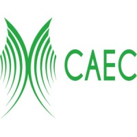 C.A.E.C. Consorzio Artigiano Edile Comiso Società Cooperativa logo