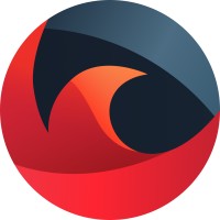 DojoCode logo - Similar company to Springtech