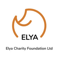 The ELYA Foundation logo - Similar company to Automata