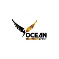 Ocean W ICT - Career Page logo - Similar company to Gigi Oral Care