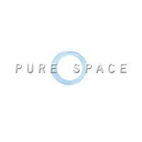 PURE SPACE logo - Similar company to Pure Spaces
