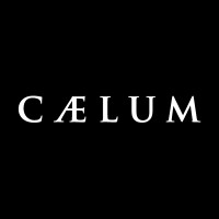Caelum logo - Similar company to G2K Group