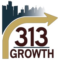 313 Growth Consulting, LLC logo - Similar company to Agora Scope Gmbh