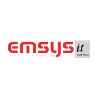 EMSYS-IT logo - Similar company to Make It Digital