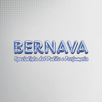 Bernava Spa logo - Similar company to Euronics La Via Lattea