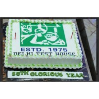 Delhi Test House logo - Similar company to Aes Laboratories Private Limited