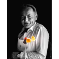 Auberge de l'Ile Barbe logo - Similar company to Premier Chef Services