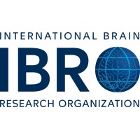 International Brain Research Organization (IBRO) logo - Similar company to Brain & Behavior Research Foundation (Bbrf)