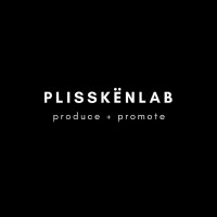 plisskënlab logo - Similar company to Mulsi