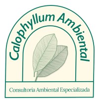 Calophyllum Ambiental logo - Similar company to Greenbond