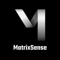 MatrixSense Technology Group logo - Similar company to Matrixforce