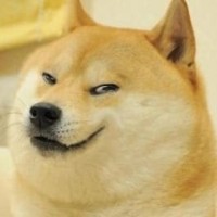CorpDev Doge logo - Similar company to Pbivizedit