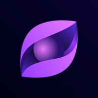Flemmisch Solutions logo - Similar company to 021Digital