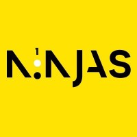 100Ninjas logo - Similar company to 1 Stop Resource Group Llc