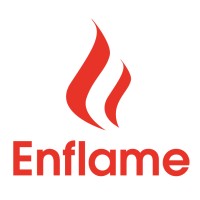 Enflame logo - Similar company to 寒武纪