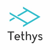Tethys Law | Uzbekistan logo - Similar company to Virtus Leo