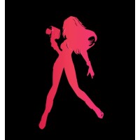 Girl Director Pty Ltd logo - Similar company to Learnivation