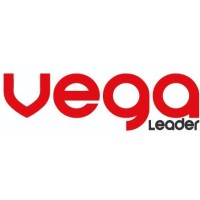 Vega Leader logo - Similar company to United Capital Investments Group (Ucig)