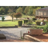 CJW Tree & Landscape / Lawncare logo