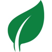 Mangrov logo - Similar company to Mangrovea