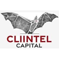 Cliintel Capital logo - Similar company to Suite 420 Solutions