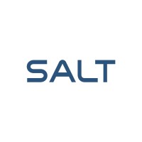 SALT (market research company) logo - Similar company to Drova