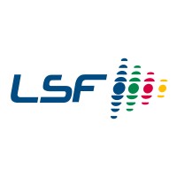 Holding LSF logo - Similar company to Servilinares