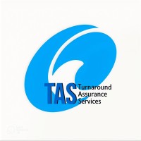 Turnaround Assurance Services logo - Similar company to Catapult - Transactions | Transformations  | Turnarounds
