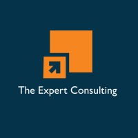 The Expert Consulting-SAP ERP B1/S4 HANA logo - Similar company to B1+ Solutions - Sap Business One Software Developments