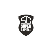 Super capital Finance logo - Similar company to Finance Flare