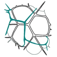 theOtherDada logo - Similar company to The Visionaries