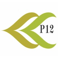 p12 limited logo - Similar company to Payfasta