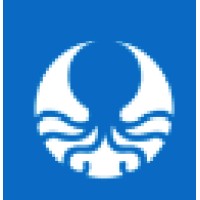 Octopus24 logo - Similar company to Cloudwadi