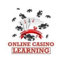 Online Casino Learning logo - Similar company to Online Casino Learning