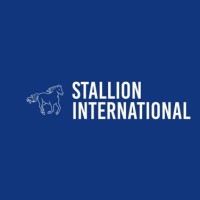 Stallion International logo - Similar company to Meta-Info