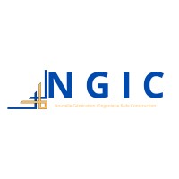 NGIC Afrique logo - Similar company to Emergence Cec / Conseil-Ingénierie-Coordination/ Structuration De Projets De Developpement