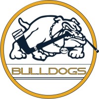 Florida Bulldogs Hockey logo - Similar company to Neuraforge