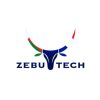 Zebutech Madagascar 🇲🇬 logo - Similar company to Le Siete
